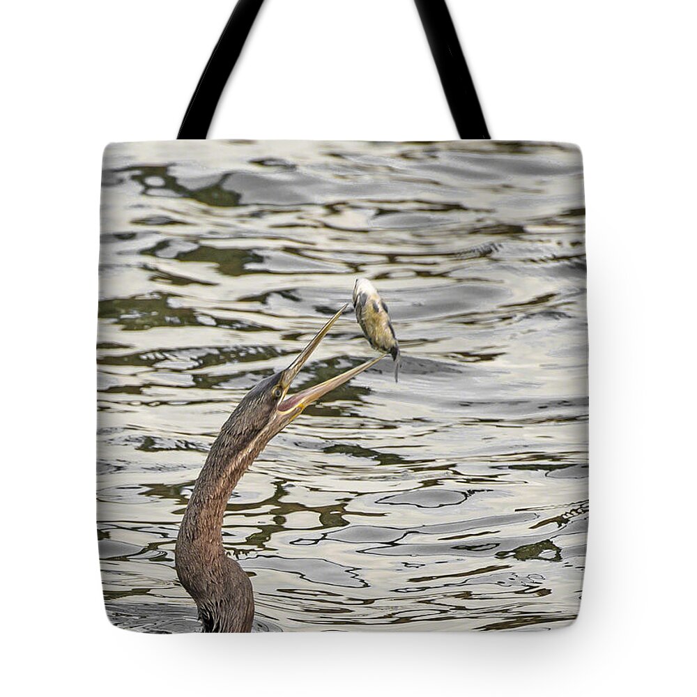 Birds Tote Bag featuring the photograph The catch by Patrick Kain