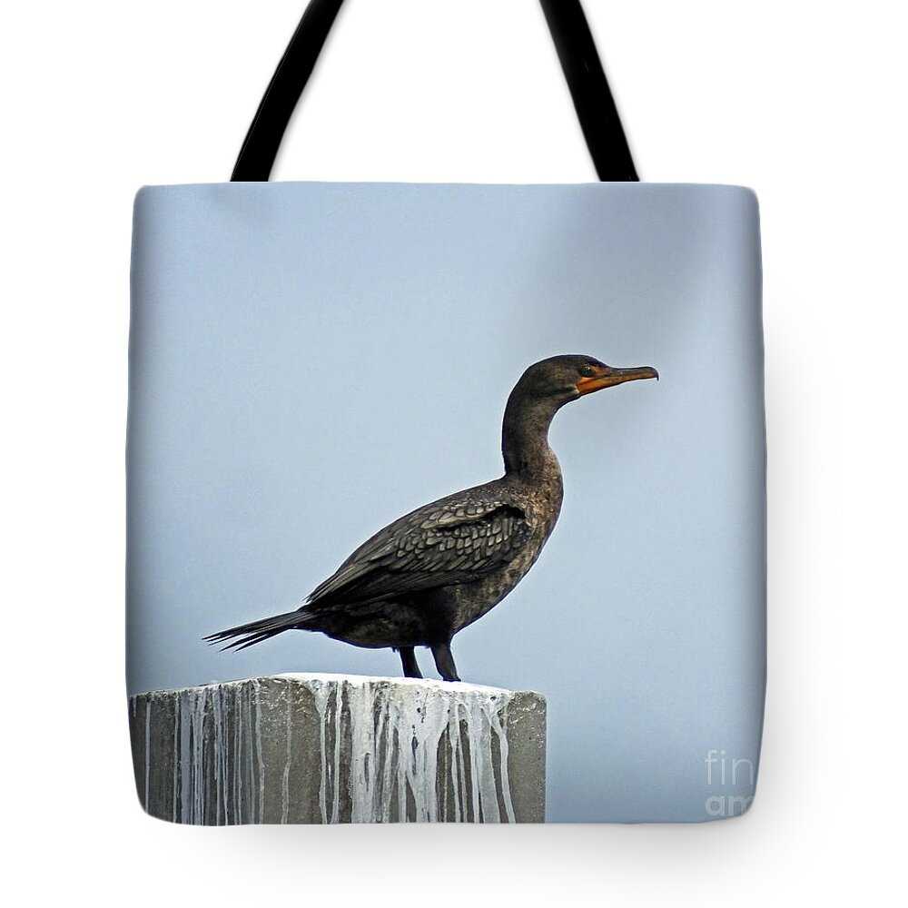 Bird Tote Bag featuring the photograph Cormorant Perdido Key by Lizi Beard-Ward