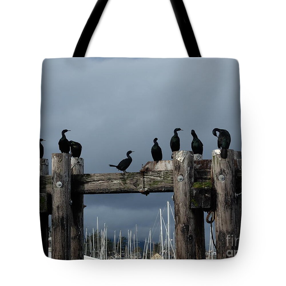 Cormorants Birds Sky Clouds Drama Boats Seaside Sun Shadow Light Pilings Bolts Wood Logs Grey Blue Black White Brown Yellow White Tote Bag featuring the photograph Cormorants by Ida Eriksen