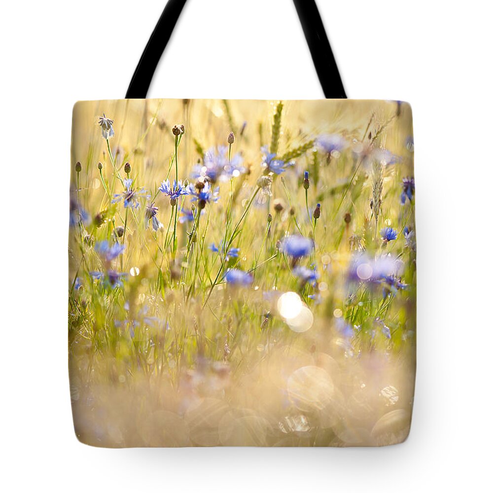 Cornflowers Tote Bag featuring the photograph Cornflowers after the rain by Arletta Cwalina