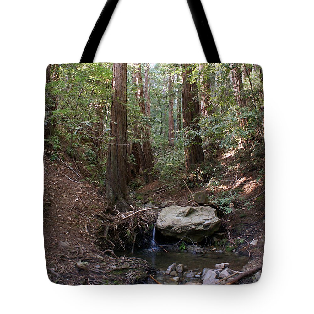 Nature Tote Bag featuring the photograph Corte Madera Creek on Mt Tamalpais #6 by Ben Upham III