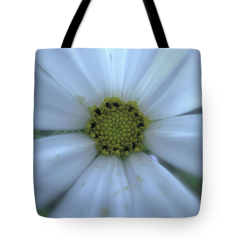 Floral Tote Bag featuring the photograph Cosmic Cosmos by Lora Fisher