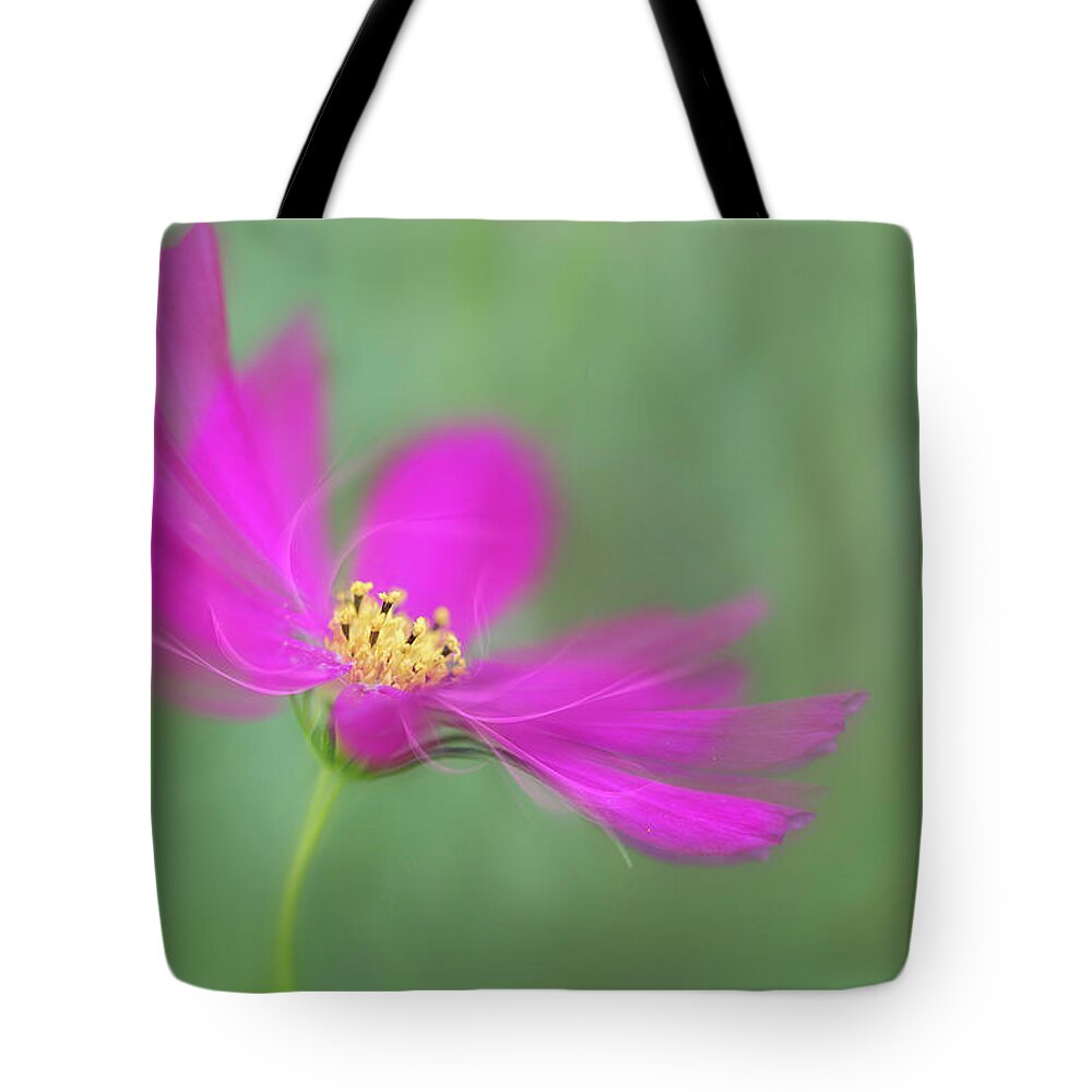 Macro Tote Bag featuring the photograph Cosmos gets ready for the prom. by Usha Peddamatham