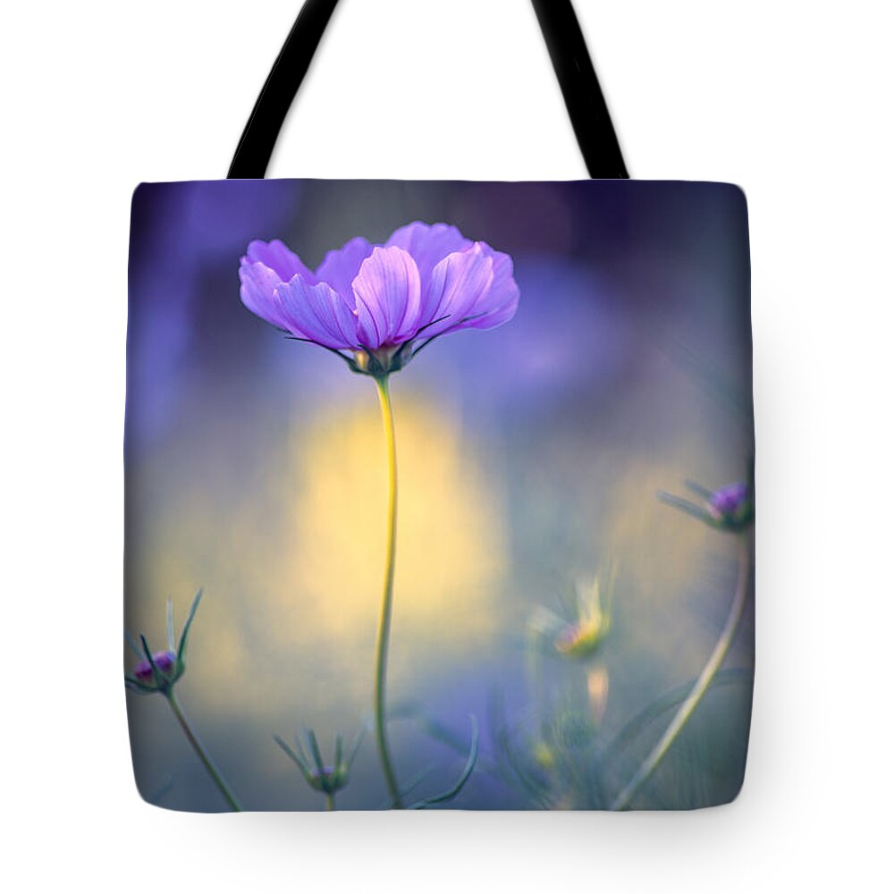 Cosmos Tote Bag featuring the photograph Cosmos Pose by John Rivera