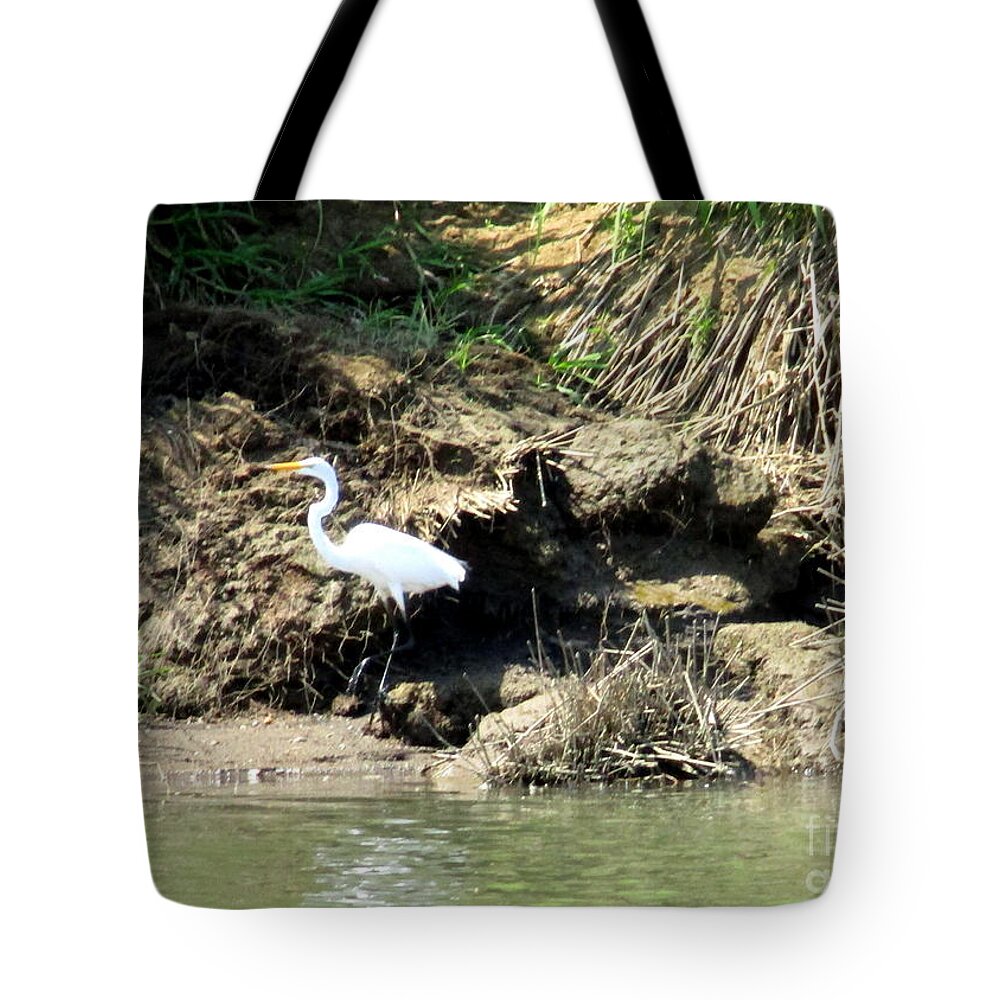 Birding Tote Bag featuring the photograph Costa Rica Birds 1 by Randall Weidner