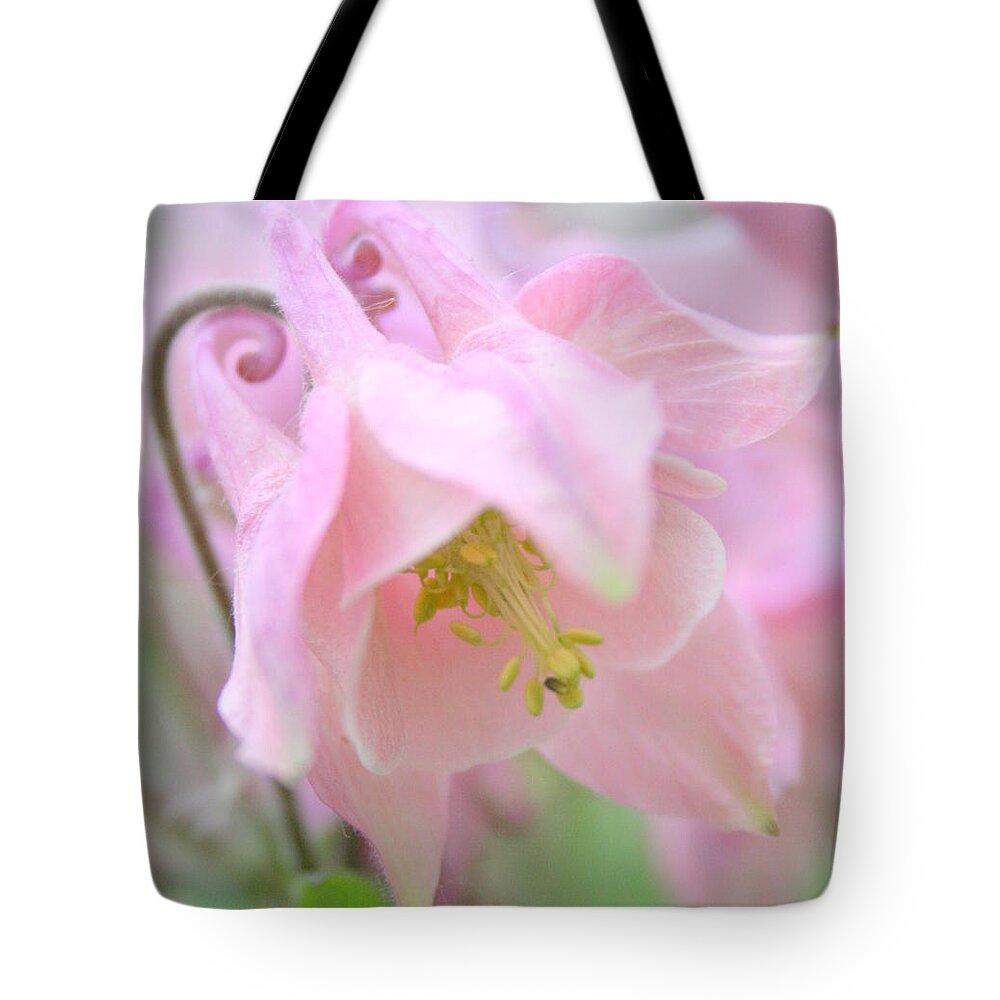 Flower Tote Bag featuring the photograph Cotton Candy by Julie Lueders 