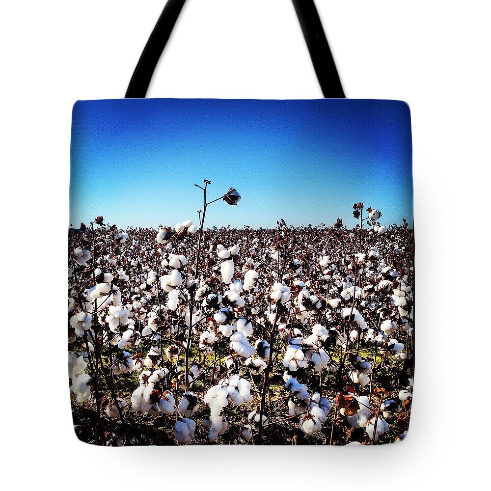 Cotton Tote Bag featuring the photograph Cotton field by Will Felix