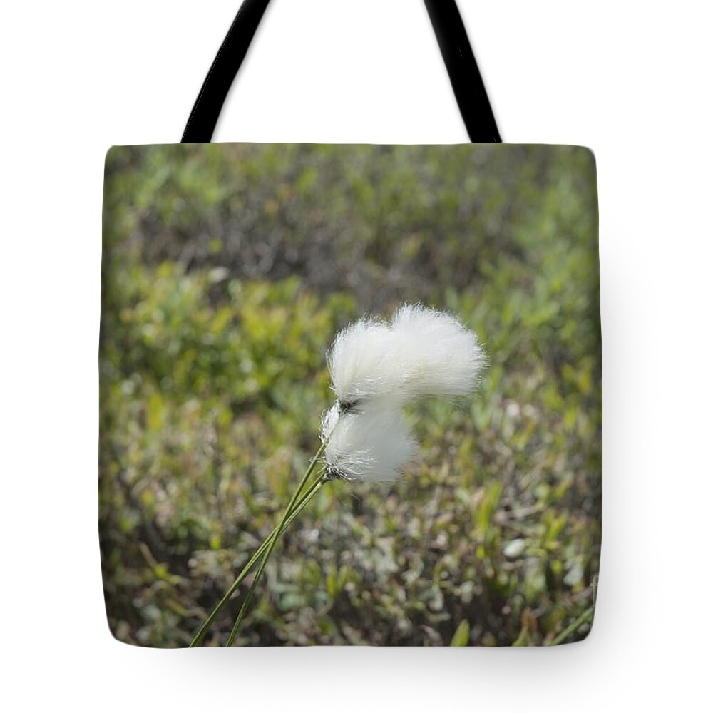 New England Tote Bag featuring the photograph Cotton Grass -Eriophorum virginicum- by Erin Paul Donovan
