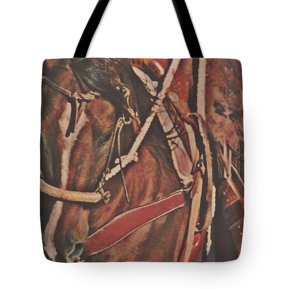 Horse Tote Bag featuring the photograph Cotton Rope and Bosal by Amanda Smith