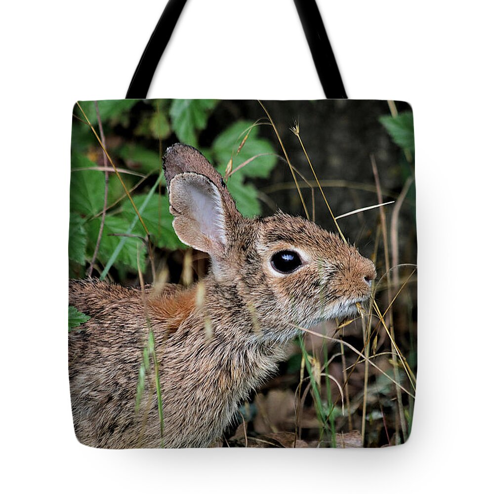 Nature Tote Bag featuring the photograph Cottontail Bunny Breakfast by Sheila Brown
