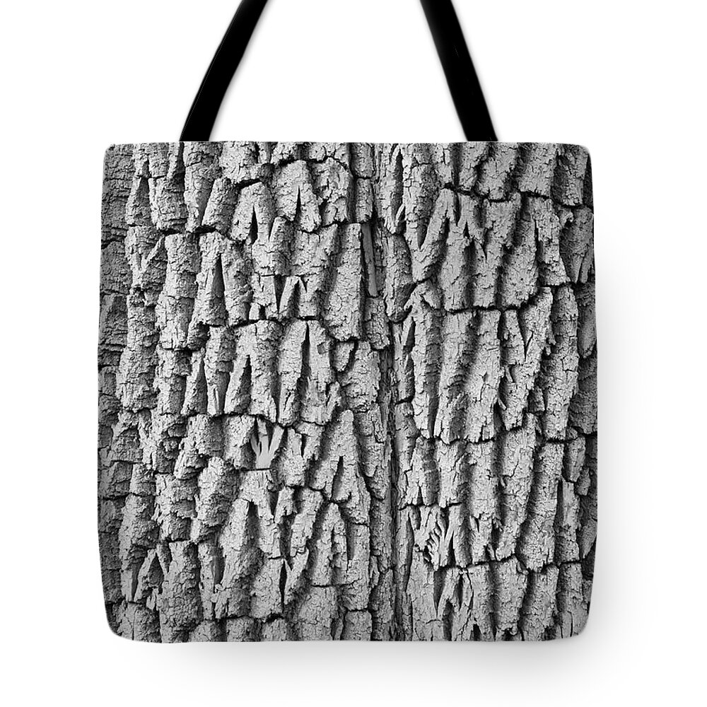 Texture Prints Tote Bag featuring the photograph Cottonwood Tree Texture Black and White Print by James BO Insogna