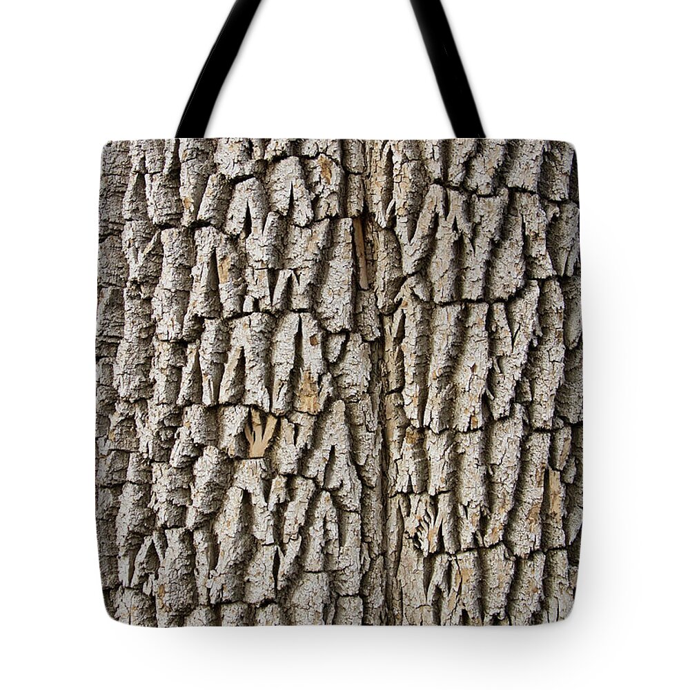 Texture Prints Tote Bag featuring the photograph Cottonwood Tree Texture Print by James BO Insogna