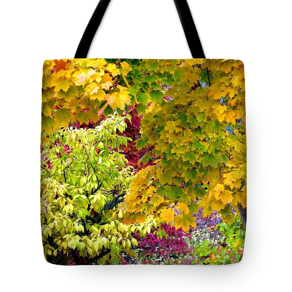 Autumn Tote Bag featuring the photograph Country Color 15 by Will Borden