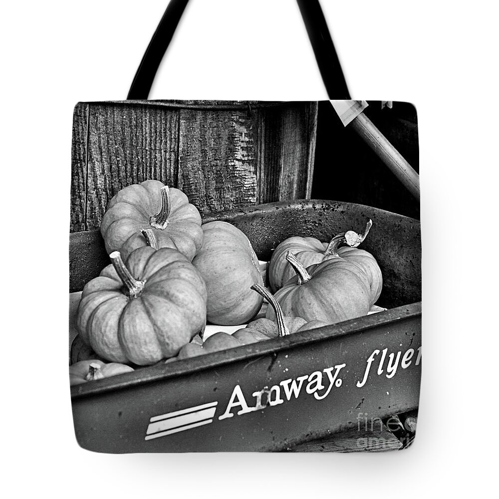 Pumpkins Tote Bag featuring the photograph Country Mini Pumpkins In Black And White by Smilin Eyes Treasures