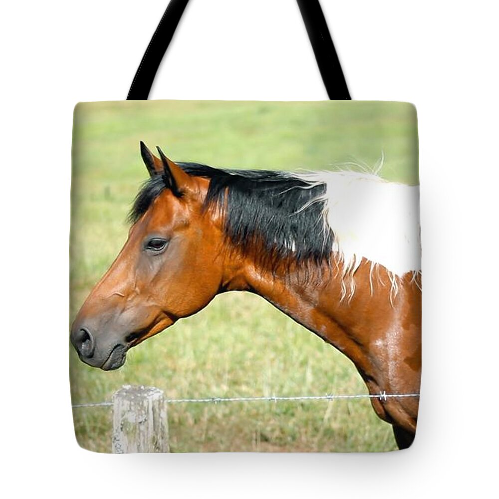 Landscape Tote Bag featuring the photograph Country Horse by Morgan Carter