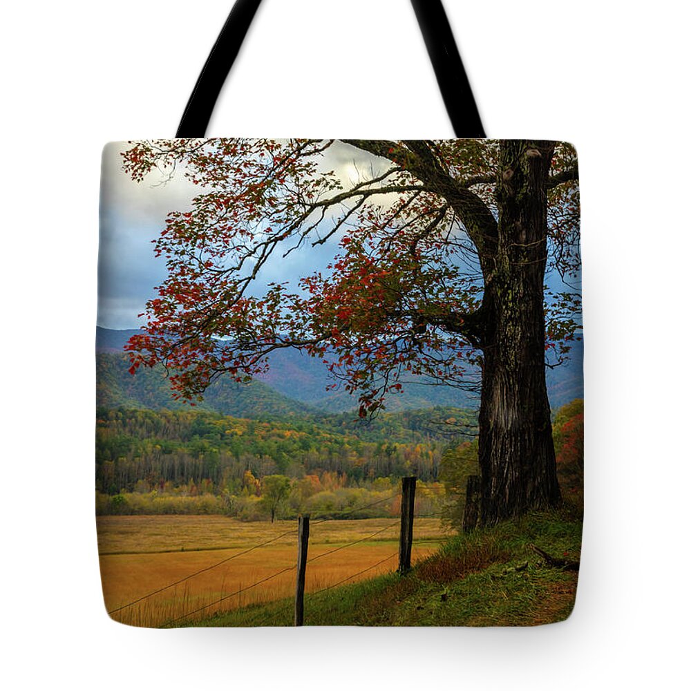 Appalachia Tote Bag featuring the photograph Country Maple along the Lane Painting by Debra and Dave Vanderlaan