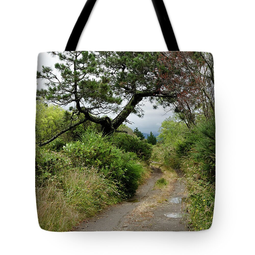  New Zealand Tote Bag featuring the photograph Country road. New Zealand by Yurix Sardinelly