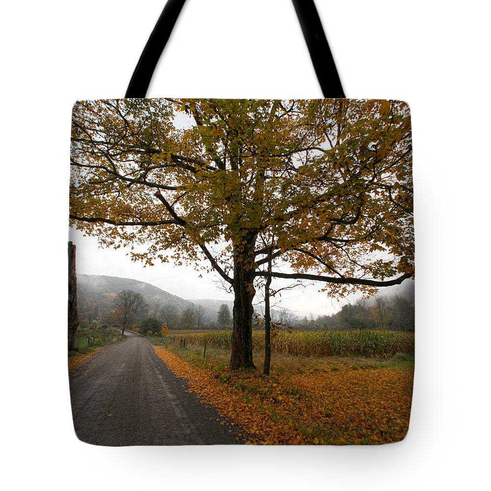 Country Fall Trees Field Road Drive Mountains Mountain Tote Bag featuring the photograph Country Road by Robert Och