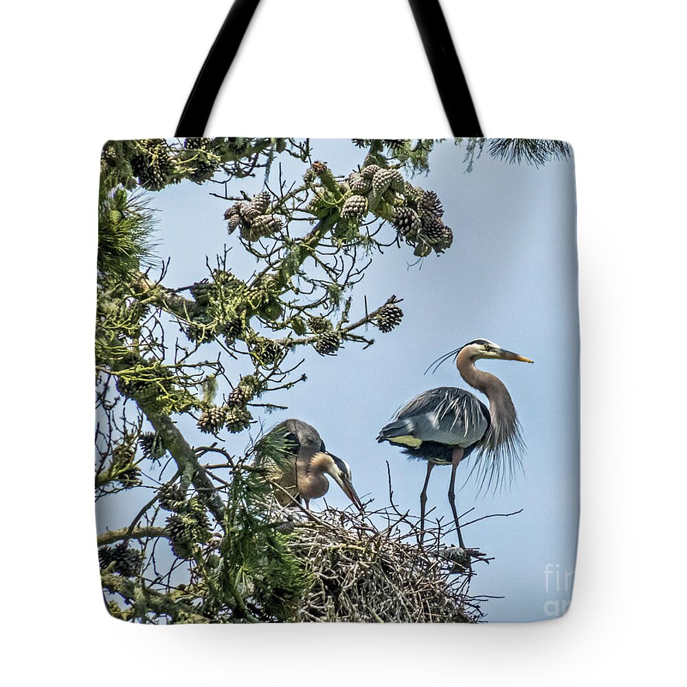 Great Blue Heron Tote Bag featuring the photograph Great Blue Heron Couple by Kate Brown