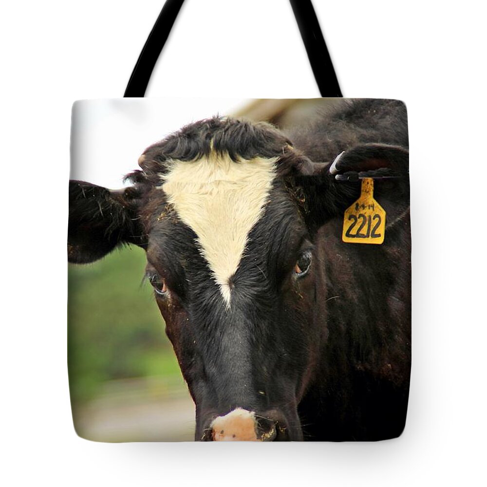 Cows Tote Bag featuring the photograph Cow 3 by Karl Rose