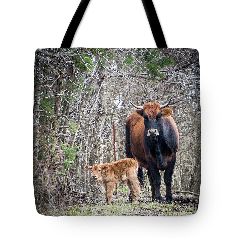 Cow Tote Bag featuring the photograph Cow and Calf by Cheryl McClure