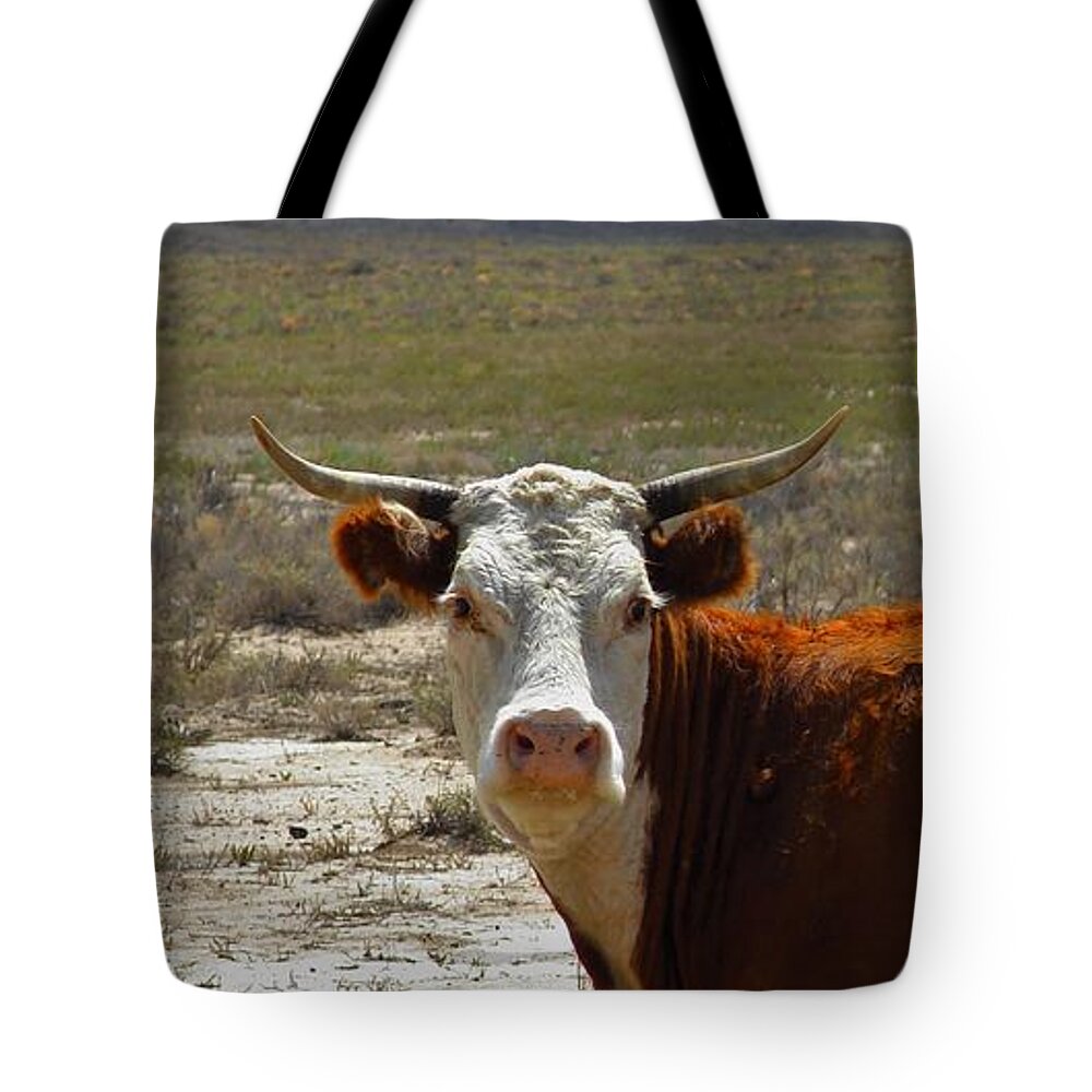 Cow Tote Bag featuring the photograph Cow by Carl Moore