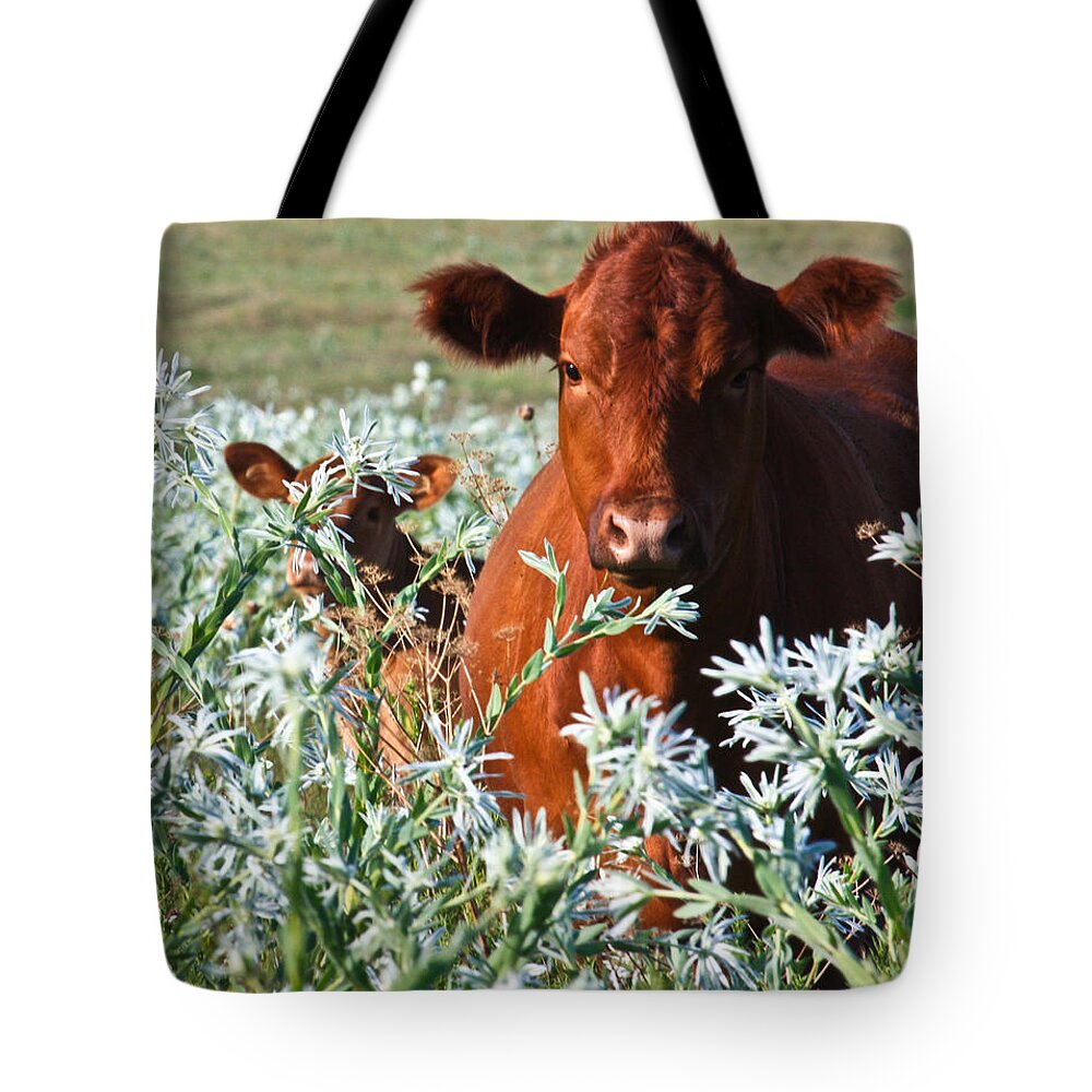 Cow Tote Bag featuring the photograph Cow Hide by Mark Alder