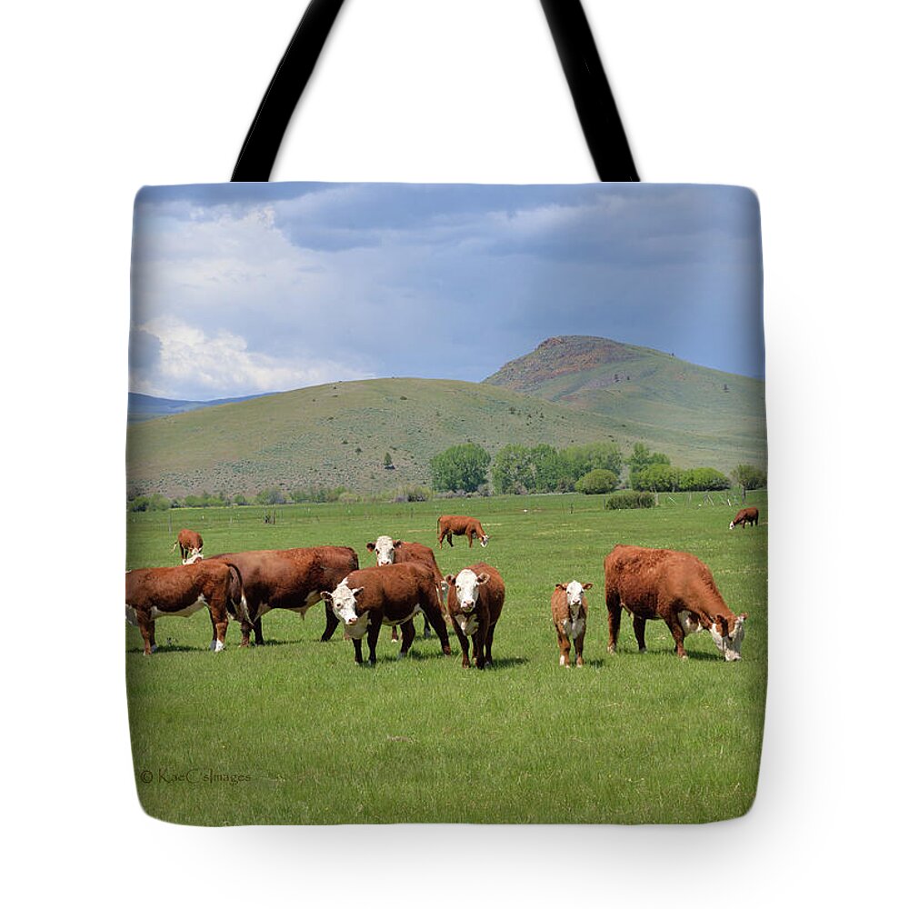 Cows Tote Bag featuring the photograph Cows and Calves by Kae Cheatham