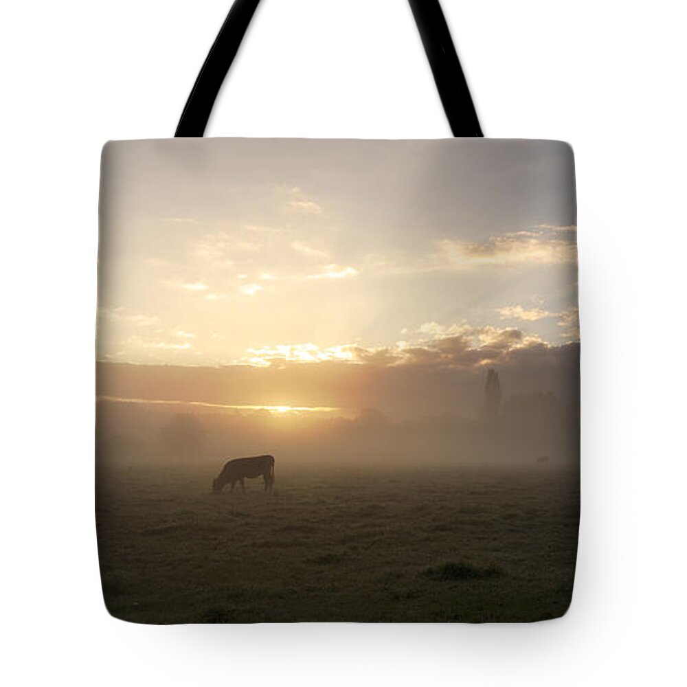 Sudbury Tote Bag featuring the photograph Cows in the mist by Ian Merton