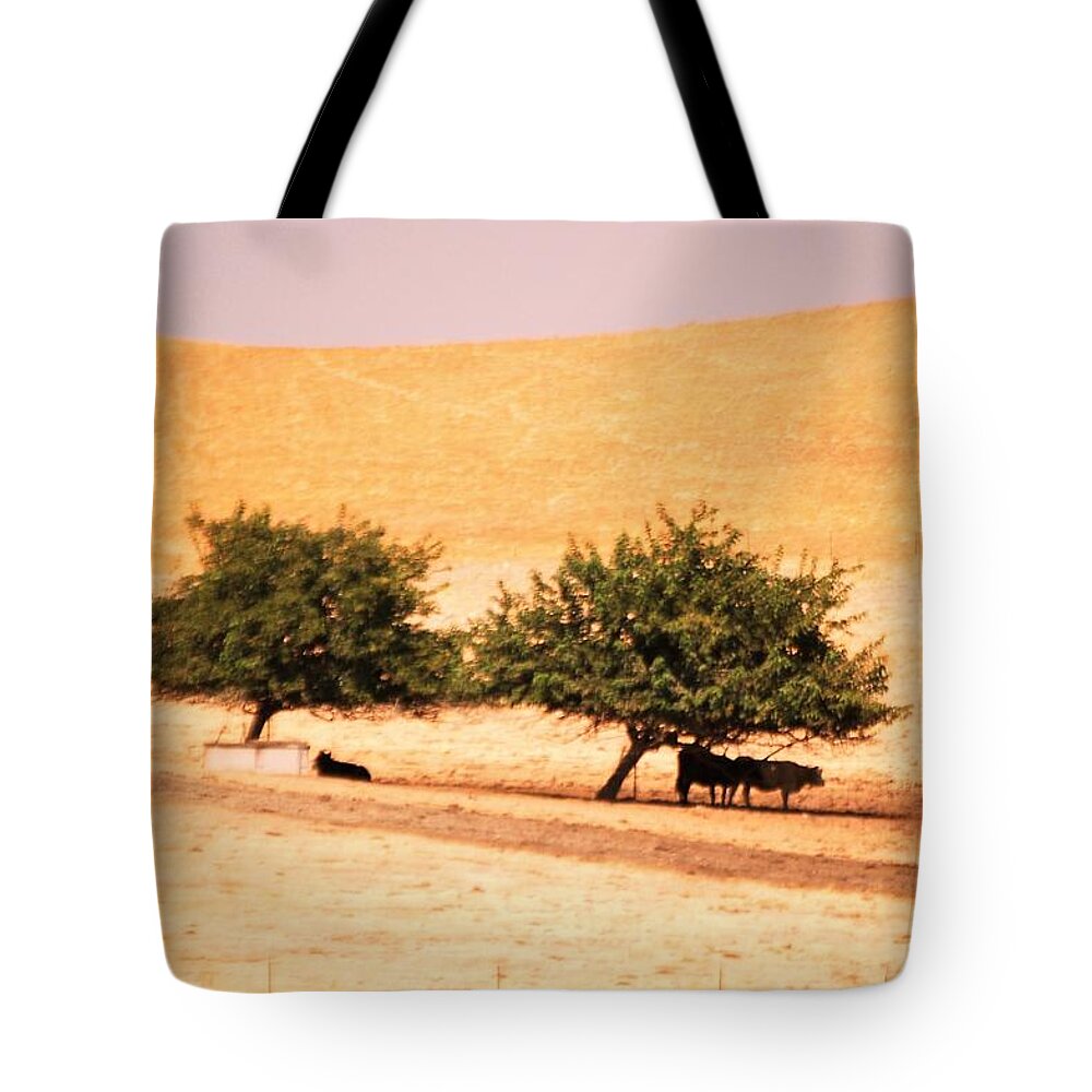 Cow Tote Bag featuring the photograph Cows in the shadow by Maria Aduke Alabi