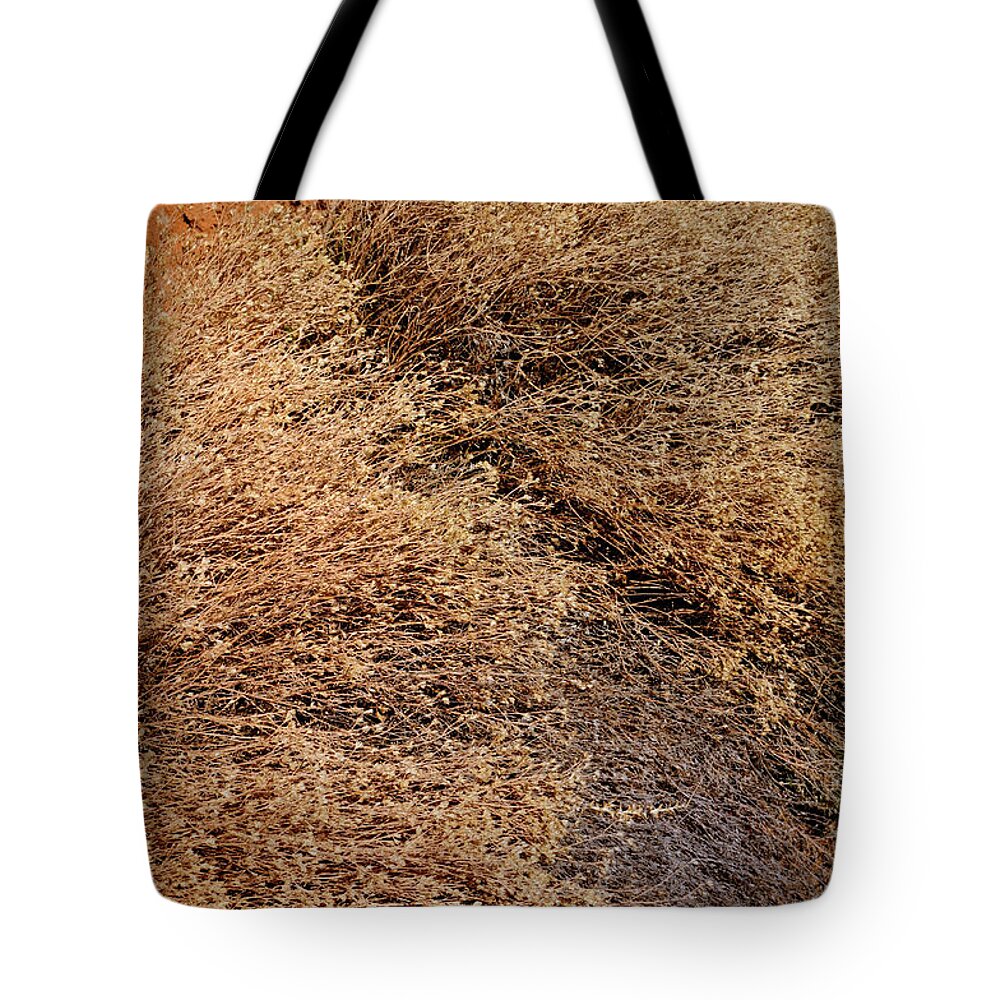 Landscape Tote Bag featuring the photograph Coyote Brush by Ron Cline