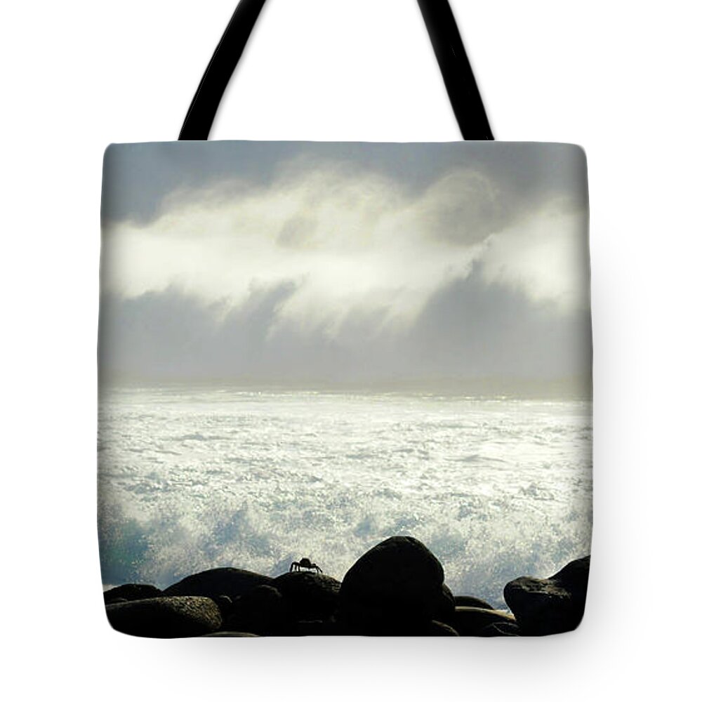 Crab Tote Bag featuring the photograph Crab Awaiting Impending Wave by Ted Keller