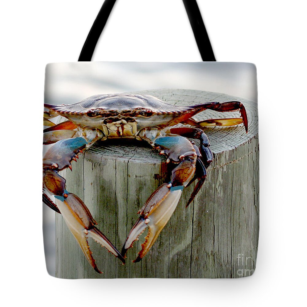 Crab Photography Tote Bag featuring the photograph Crab Hanging Out by Luana K Perez