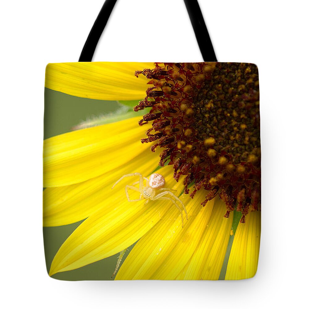 James Smullins Tote Bag featuring the photograph Crab spder by James Smullins