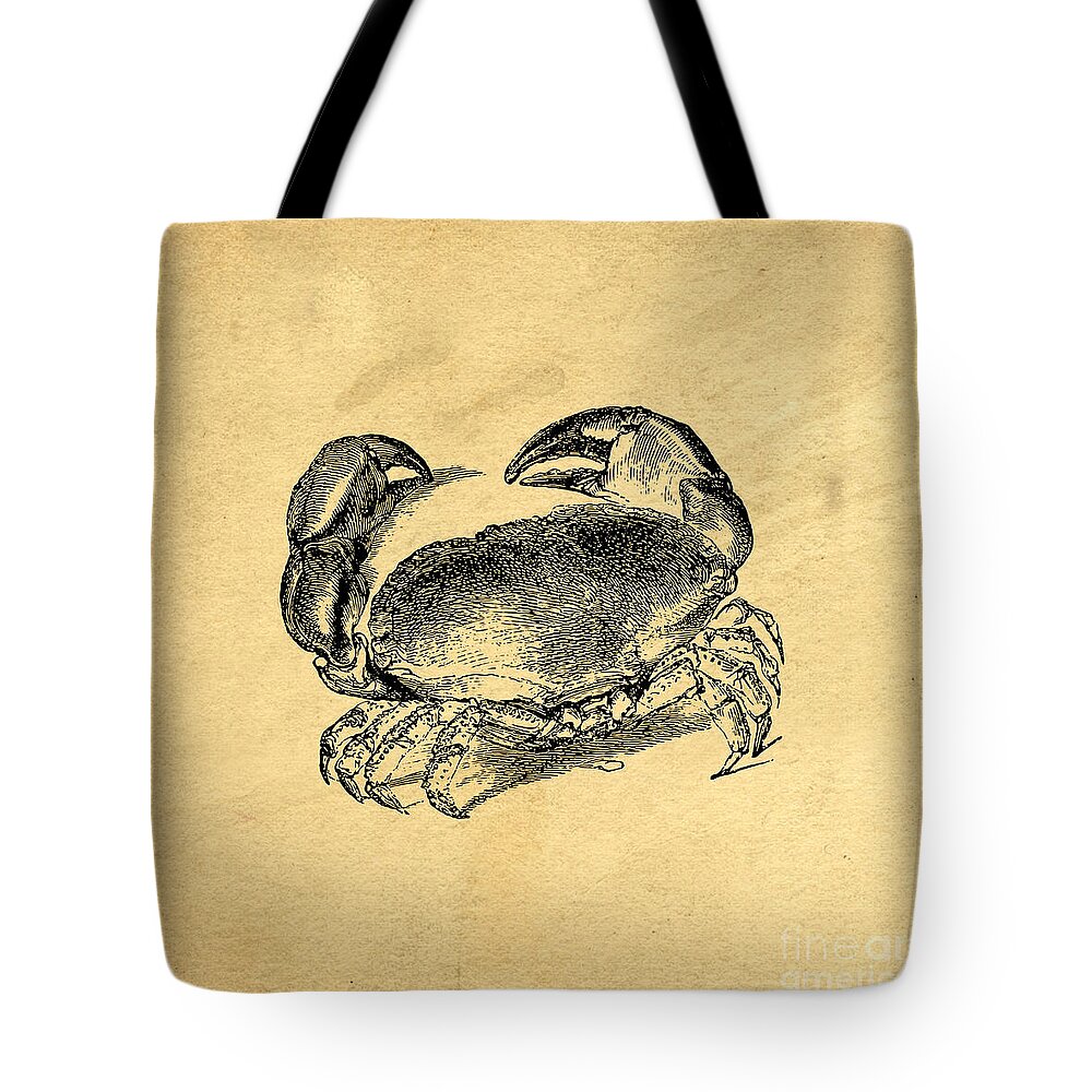 Crab Tote Bag featuring the drawing Crab Vintage by Edward Fielding