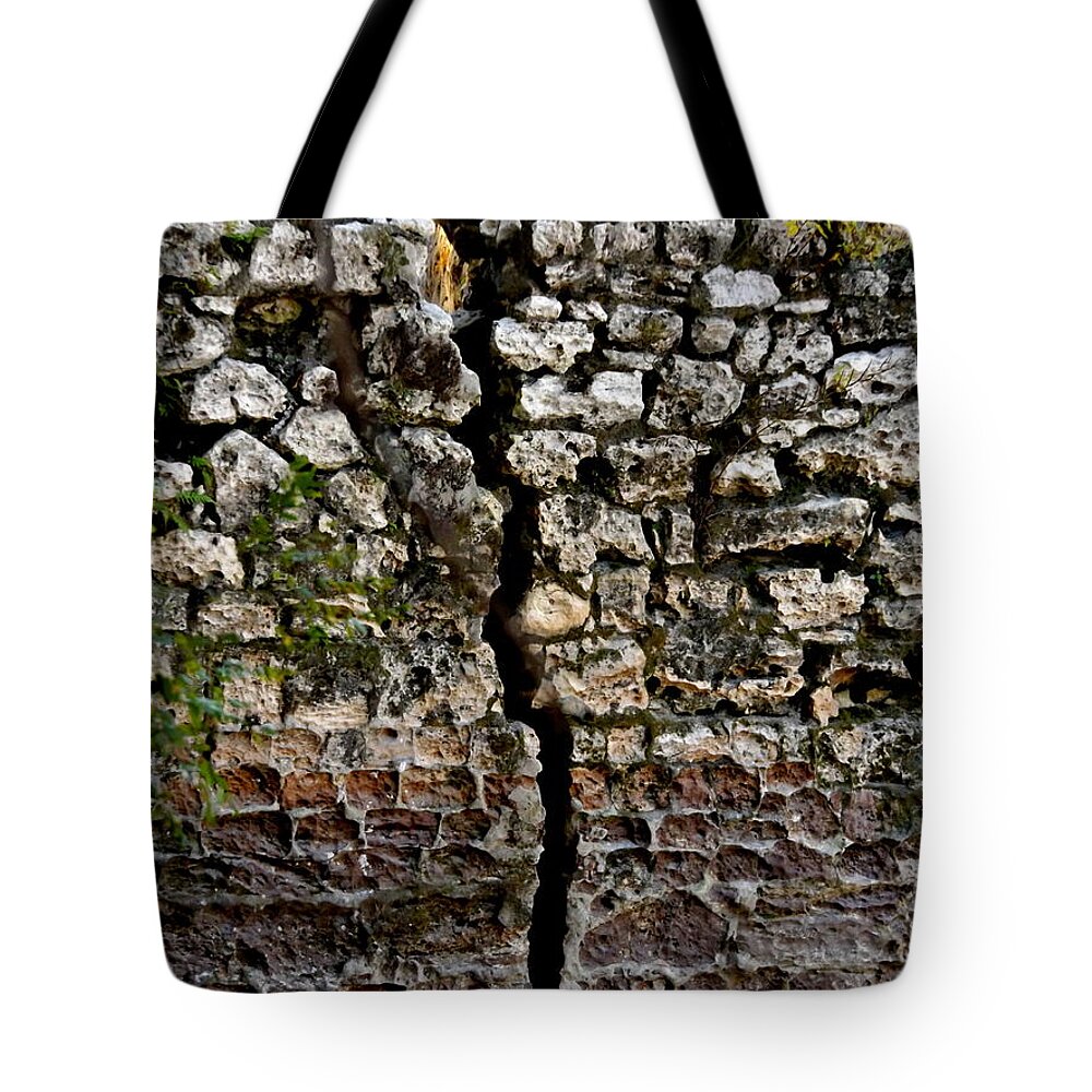 Suwannee Springs Tote Bag featuring the photograph Crack in the Wall by Julie Pappas