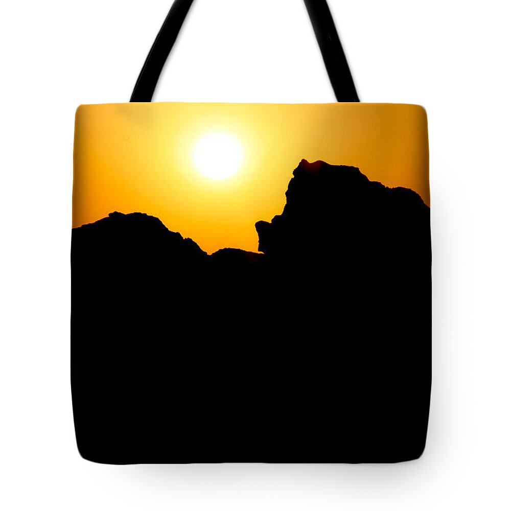 2015 Tote Bag featuring the photograph Cradle Your Departing by Jez C Self