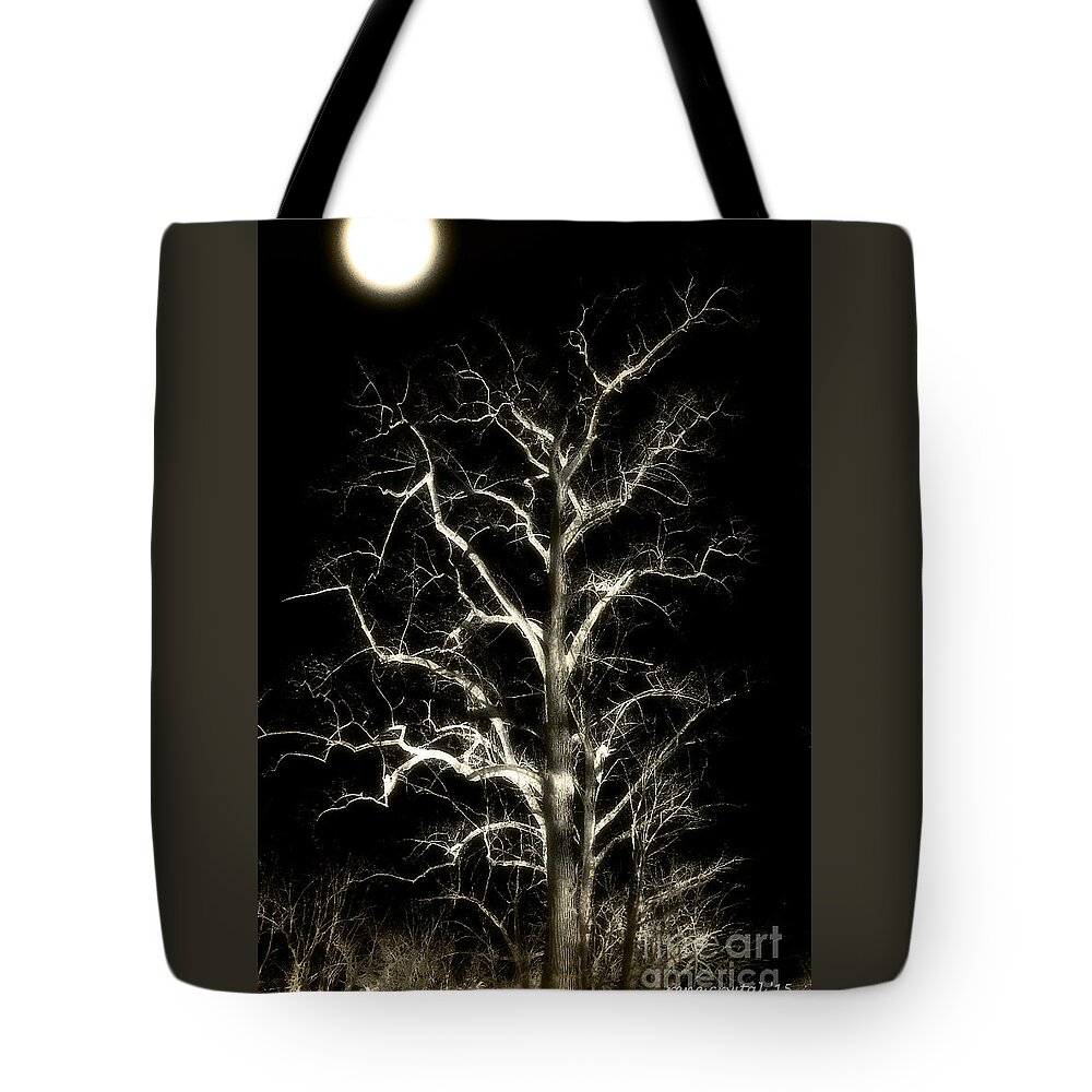 Craggy Tree Tote Bag featuring the photograph Craggy In The Moonlight by Rene Crystal