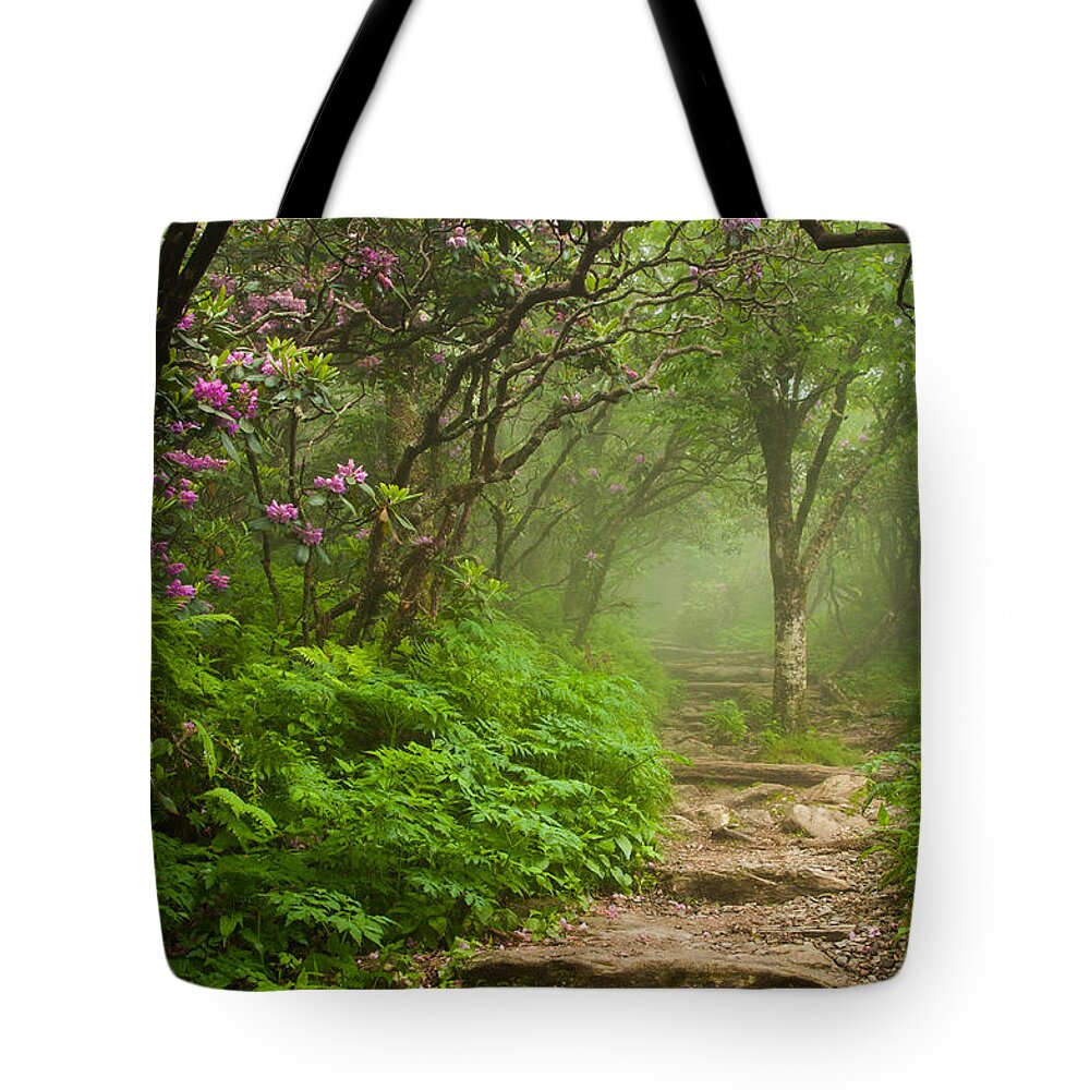 Great Smoky Mountains Tote Bag featuring the photograph Craggy Steps by Joye Ardyn Durham