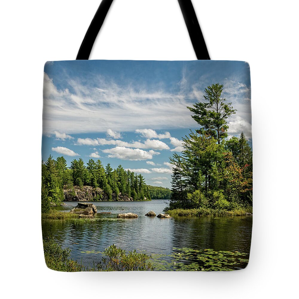 Craig Lake State Park Tote Bag featuring the photograph Craig Lake SP1 by Steve L'Italien