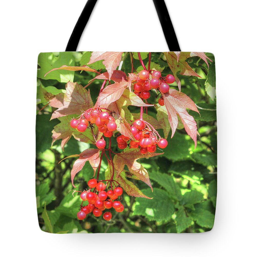 Berries Tote Bag featuring the photograph Cranberry Cluster by Jim Sauchyn