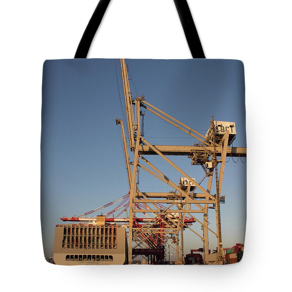 Cranes Tote Bag featuring the photograph Cranes 3 by Cheryl Del Toro