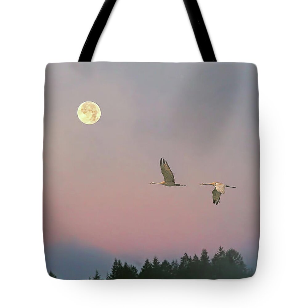 Sandhill Cranes Tote Bag featuring the photograph Cranes and a Full Moon at Dawn by Peggy Collins