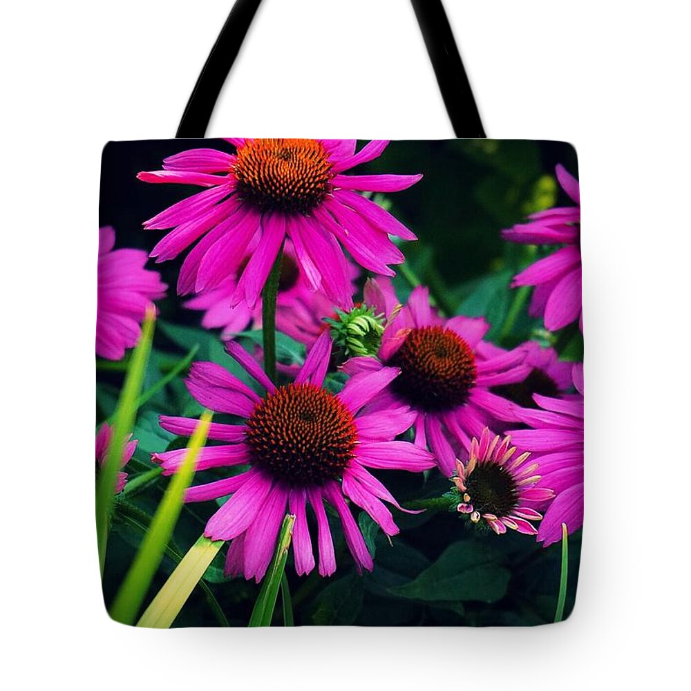  Tote Bag featuring the photograph Crazy for Coneflowers by Kendall McKernon