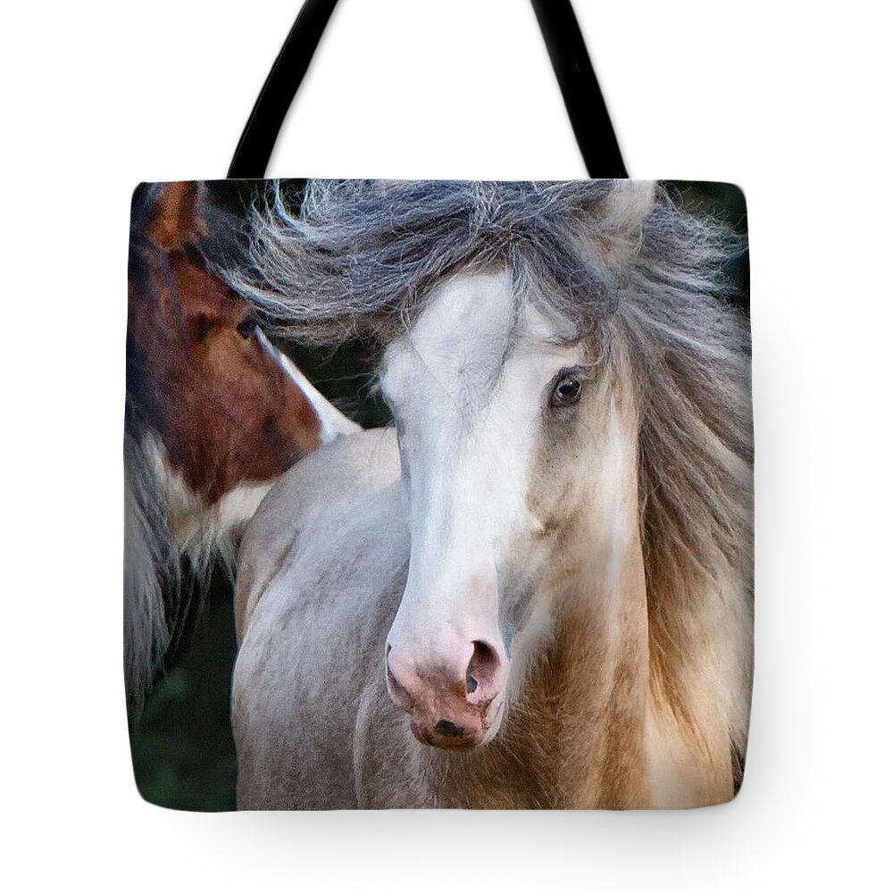 Horse Tote Bag featuring the photograph Crazy Hair by Sharon Jones