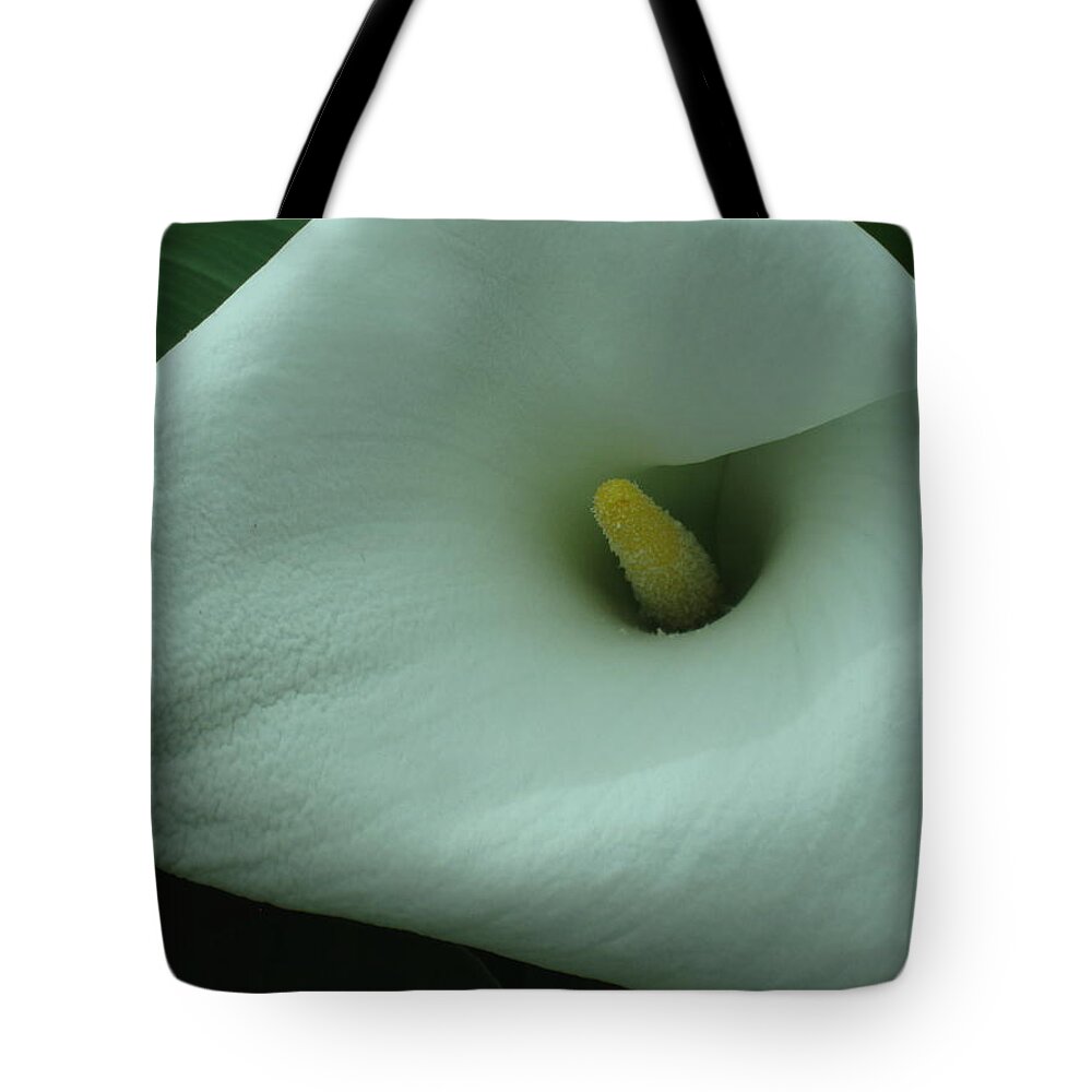  Tote Bag featuring the photograph Creamy by Ron Monsour