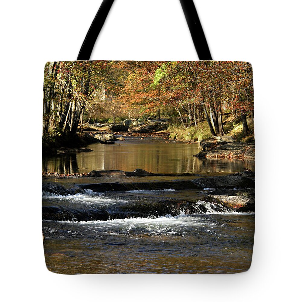 Water Tote Bag featuring the photograph Creek water flowing through woods in autumn by Emanuel Tanjala