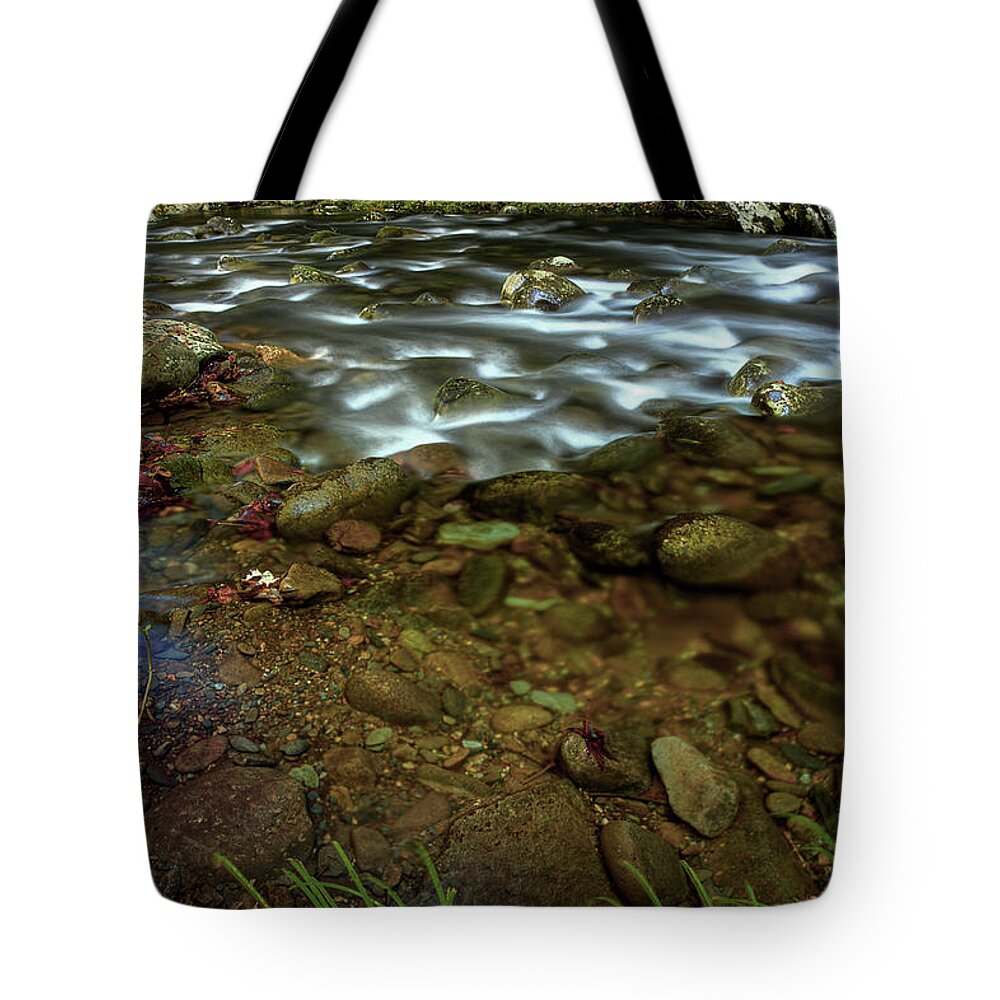 Creek Tote Bag featuring the photograph Creekside In Autumn by Mike Eingle