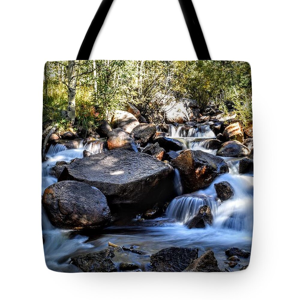 Creek Tote Bag featuring the photograph Creeky Steps by Michael Brungardt