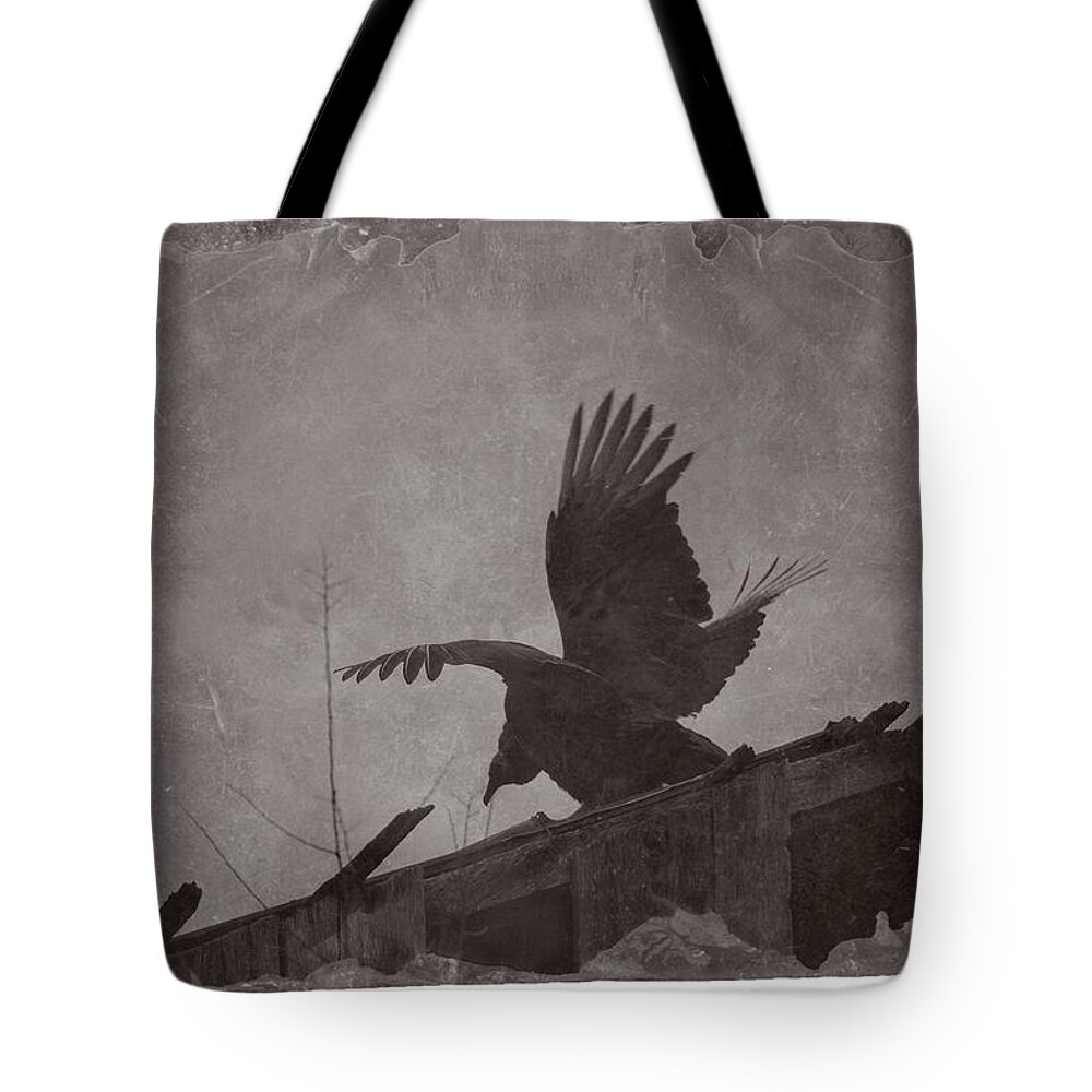 Wildlife Tote Bag featuring the photograph Creepy Buzzard by John Benedict